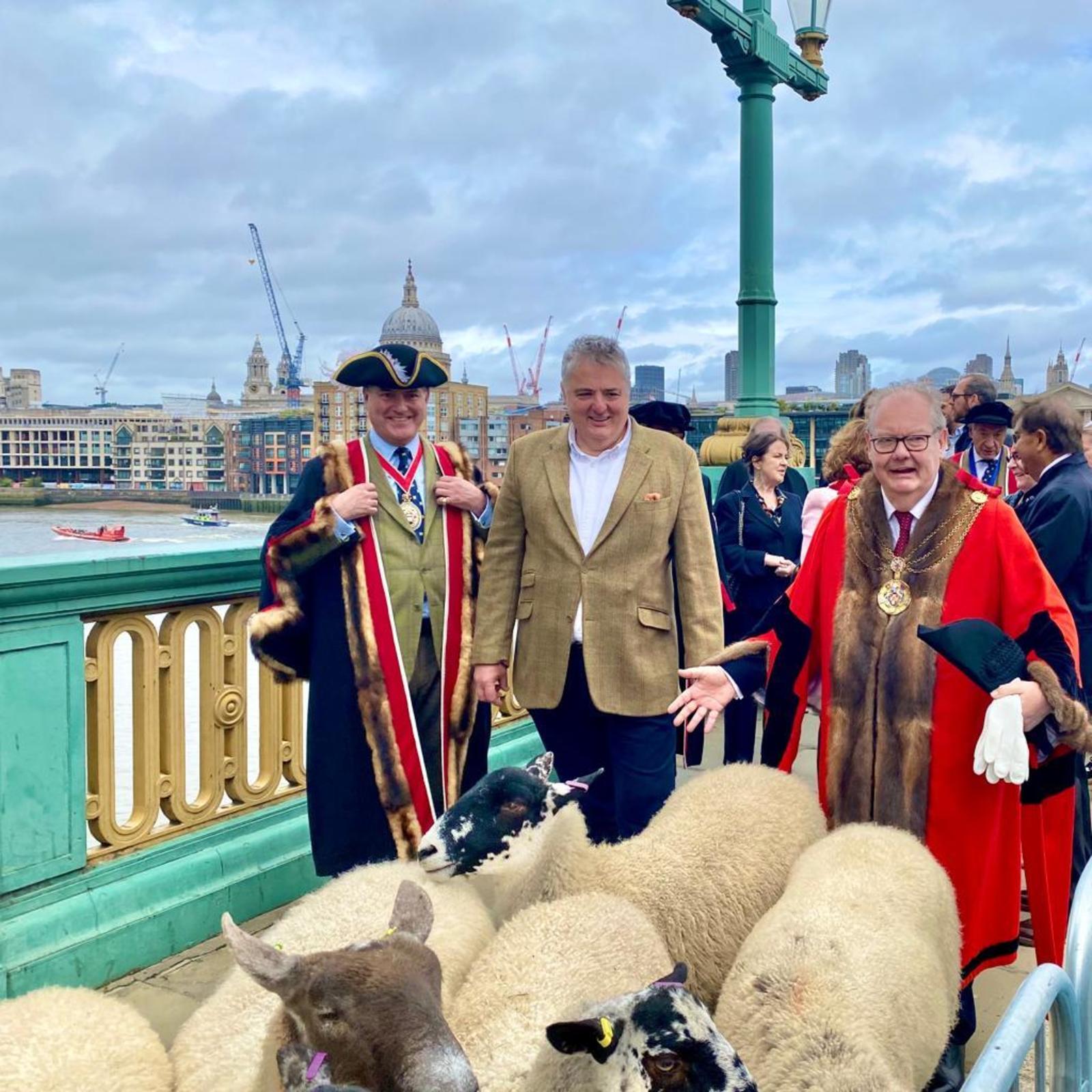 24 September 2023 - Exercising my ancient right to herd sheep over London’s Bridges without paying taxes